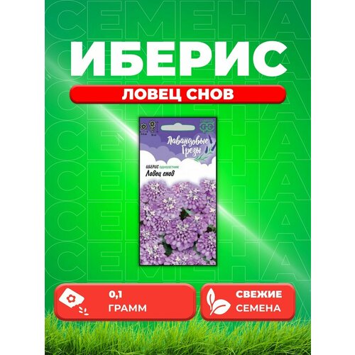 иберис ловец снов 0 2г гавриш Иберис Ловец снов, 0,1г, Гавриш Лавандовые грезы