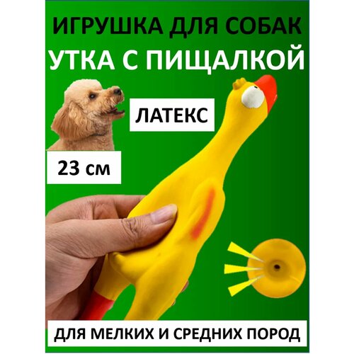 Игрушка для собак утка