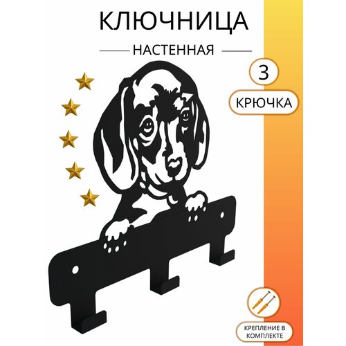 Вешалка для поводка и одежды ключница металлическая настенная Бигль с крючками 20*16,5 см цвет черный