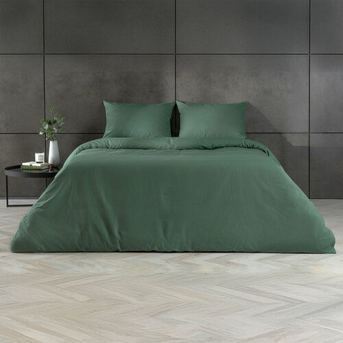 Постельное белье Askona Аскона Comfort Cotton евро Зеленый 5845₽