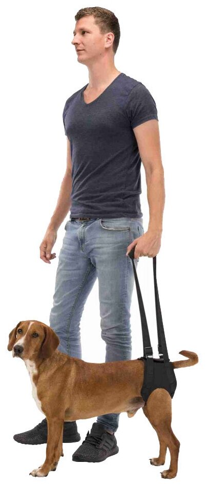 Ветеринарная шлейка для собак Trixie Walking Aid M, черный - фотография № 2