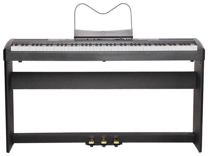 Ringway RP-35 B Цифровое пианино. Клавиатура: 88 полноразмерных динам. молоточк. клавиш. Стойка S-25