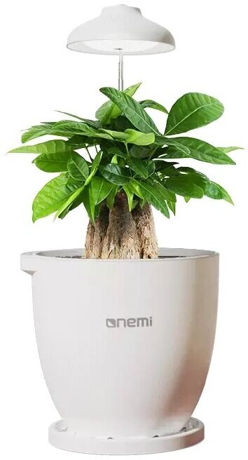 Умная экоферма для выращивания растений Onemi Intelligent Flowerpot Fill Light Edition (YMT-20212) - фотография № 1