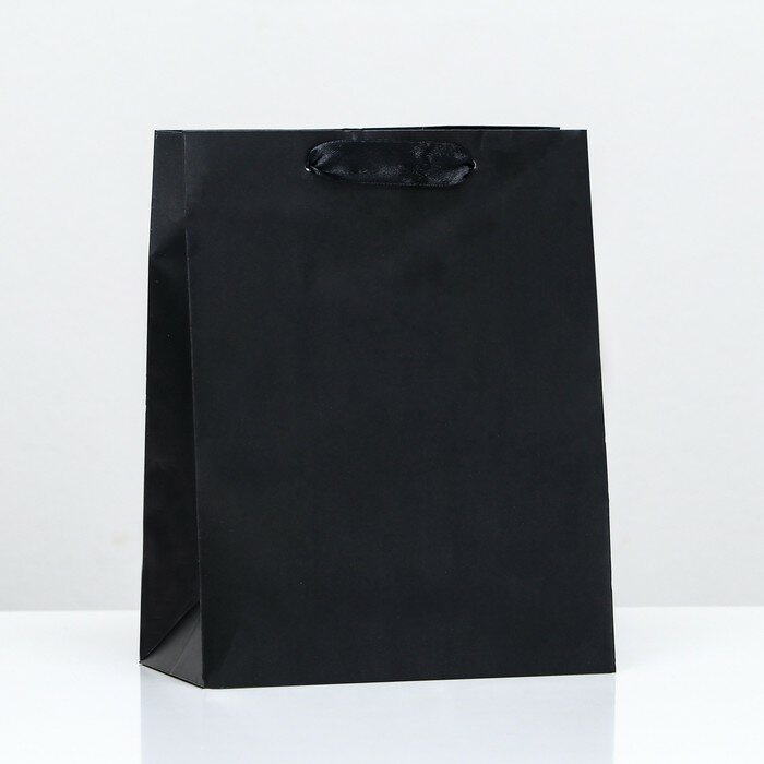 Пакет ламинированный «Чёрный» 18 х 23 х 10 см