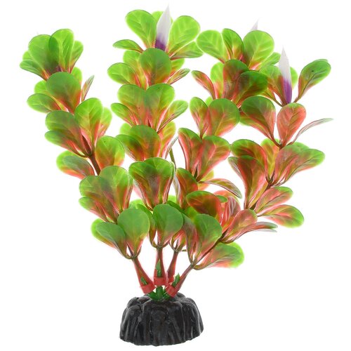 Искусственное растение BARBUS Людвигия ползучая 10 см красный