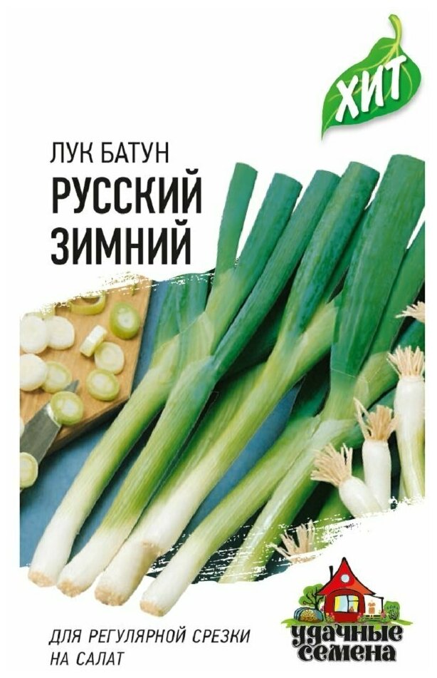 Удачные семена Лук батун Русский зимний ХИТ х3 , 0,5 грамм