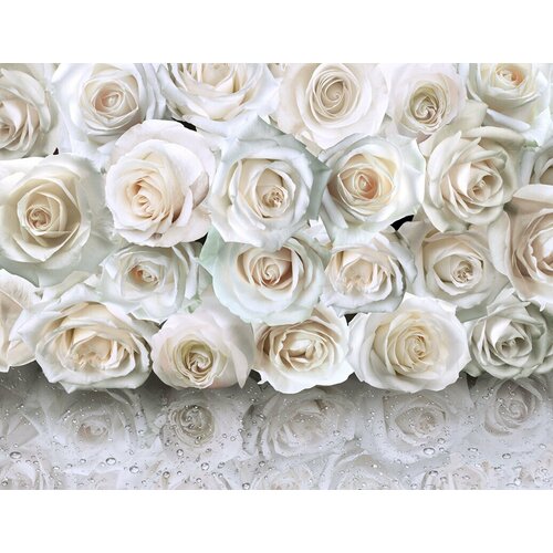 Моющиеся виниловые фотообои GrandPiK Белые розы на мокром стекле, 350х270 см
