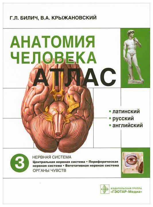 Атлас анатомии человека. В 3-х томах. Том 3 - фото №1