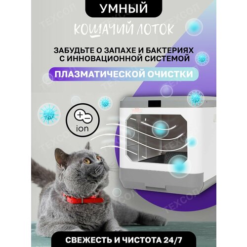 Большой кошачий туалет для кошек лоток закрытый домик