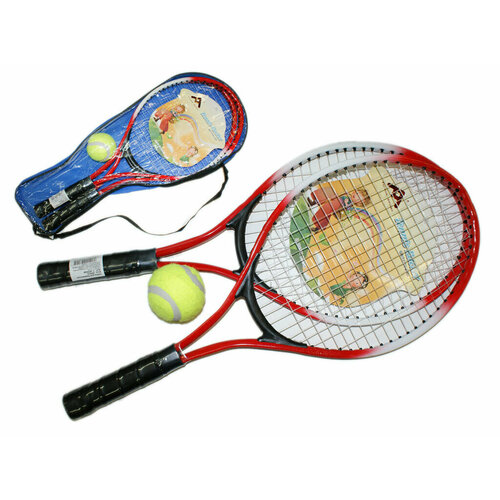 Набор для игры в бадминтон F-W2006 1590₽