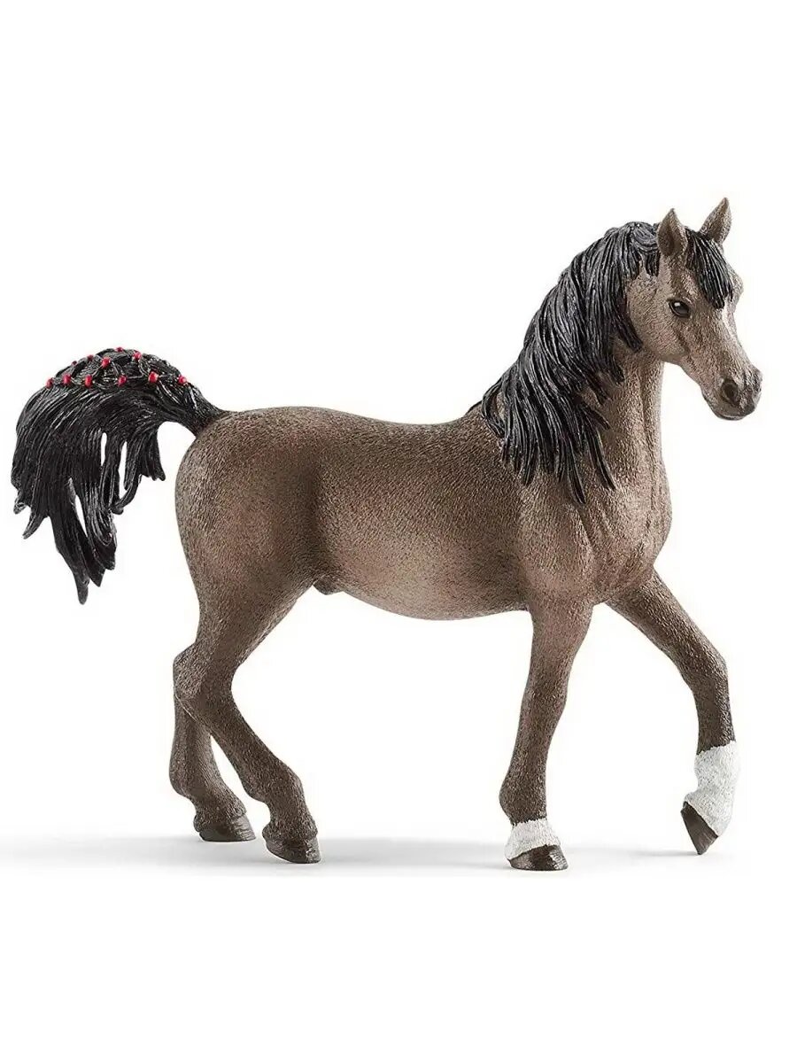 Животное арабский жеребец