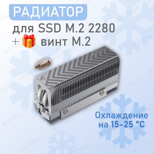 Радиатор для SSD M.2 2280 Coolleo HR-10