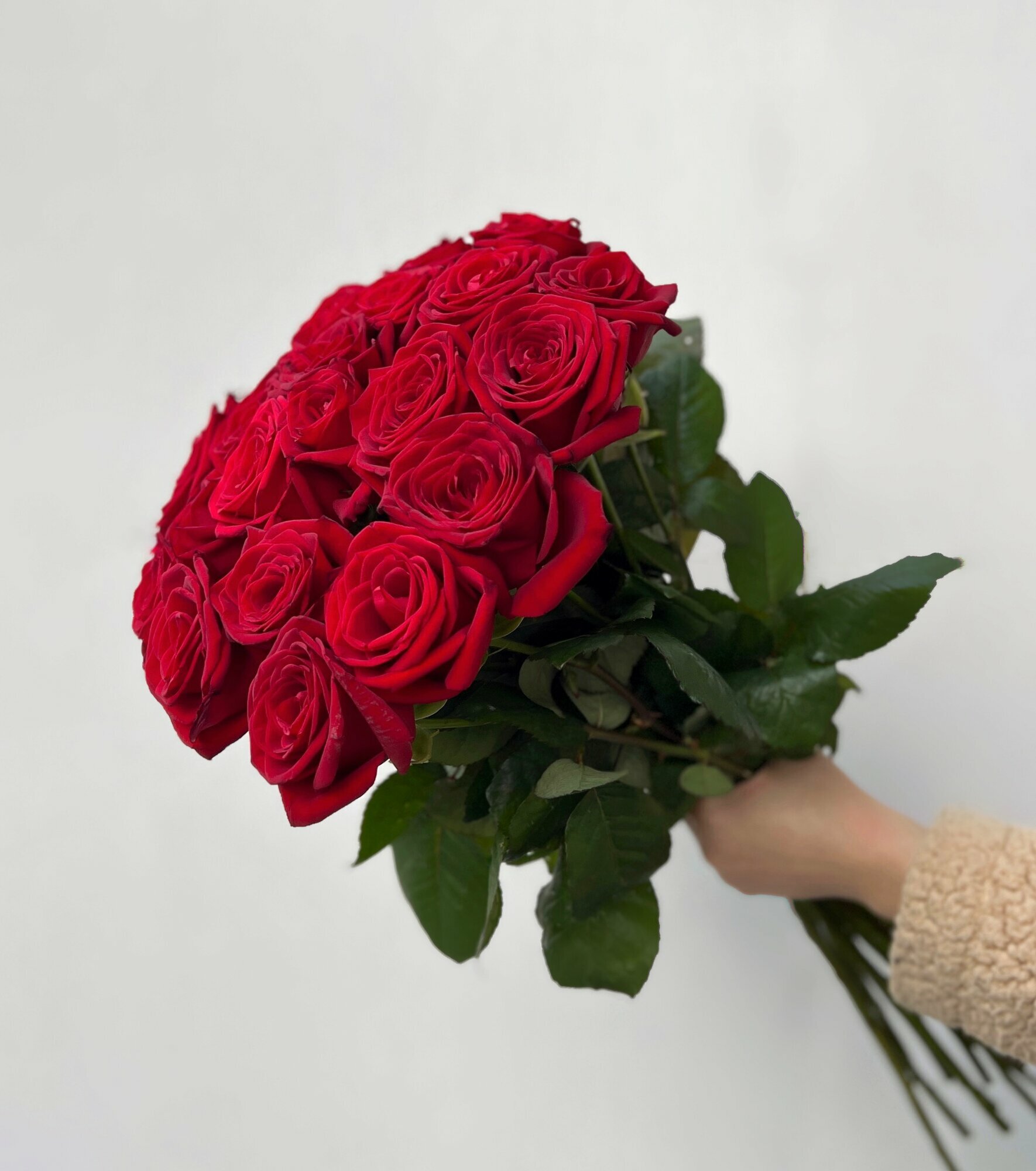 Букет из 29 красных роз красивый букет цветов 50 см букет живых цветов Россия