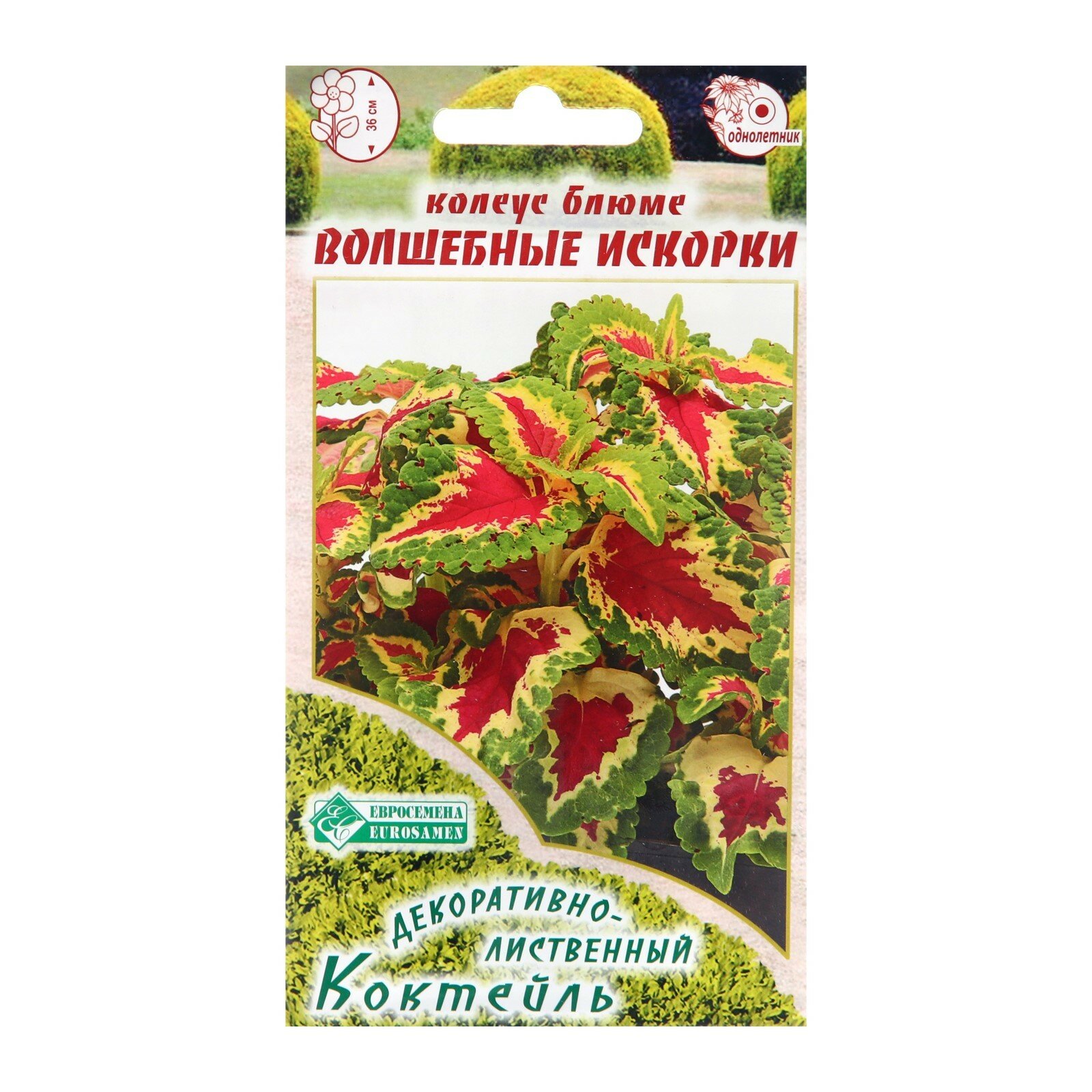 Семена Колеус блюме 