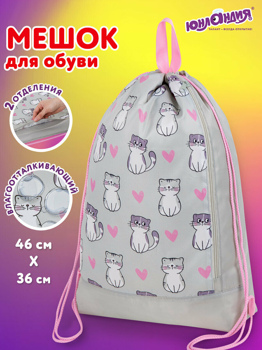 Мешок для обуви для девочек сумка для сменки в школу чехол детский плотный с ручками и боковым карманом на молнии 46х36см Юнландия Kitties 272407