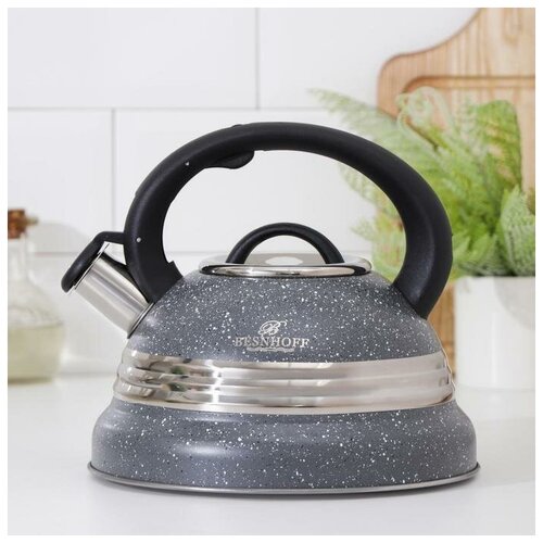 фото Чайник со свистком «вит», 3 л, индукция, цвет серый mikimarket