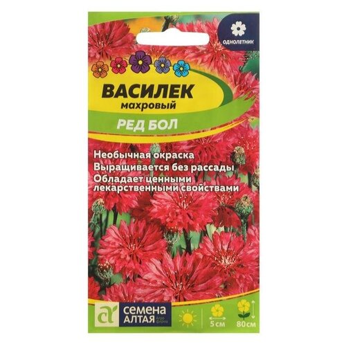 Семена цветов Василек 