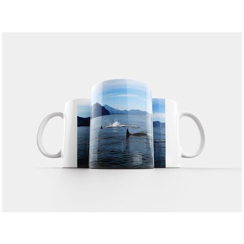 фото Кружка "косатки, рыбы, океан" 320 мл lotsprints