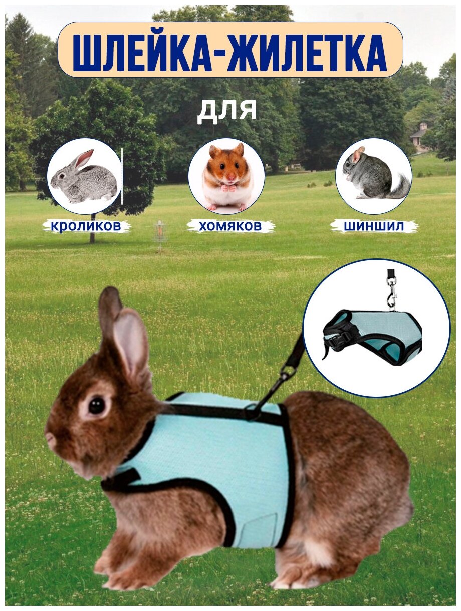 Шлейка-жилетка для кроликов, грызунов и кошек M голубая