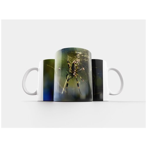 фото Кружка "паук, паукообразный, веб" 320 мл lotsprints