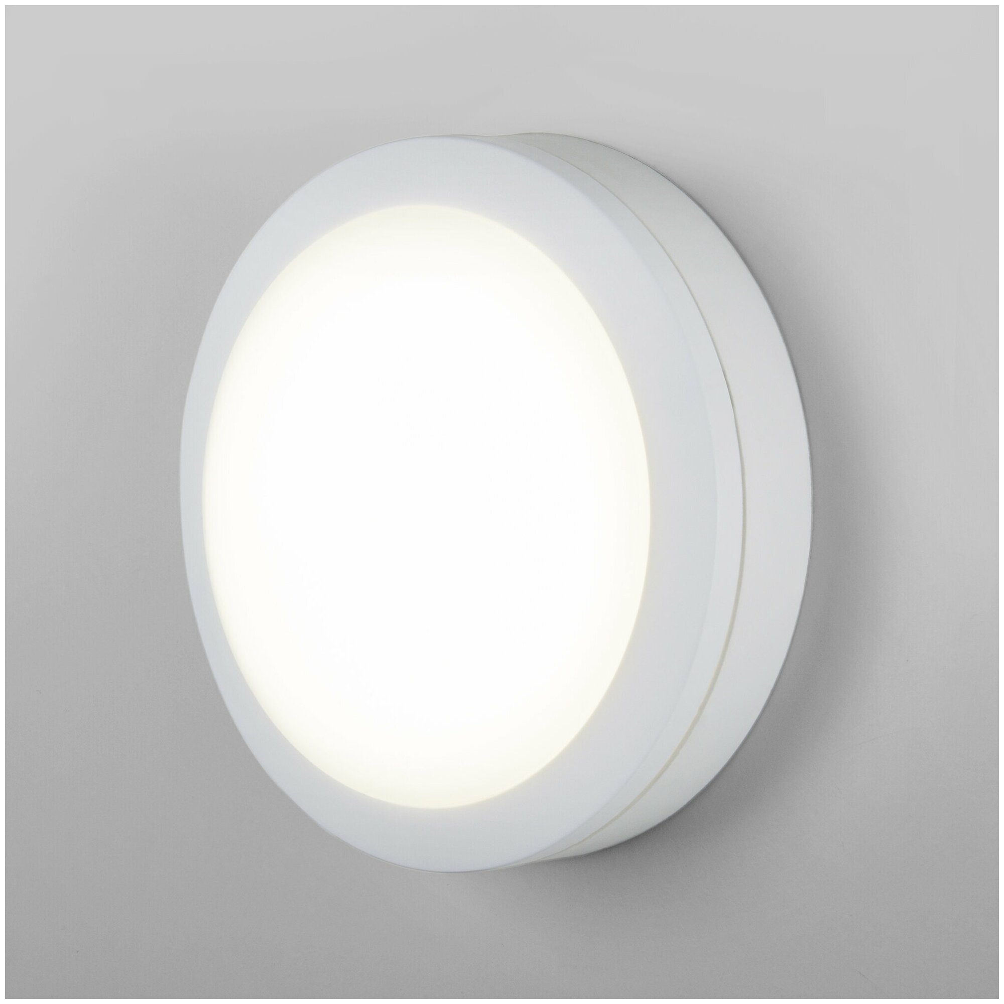 Настенно-потолочный светильник Elektrostandard Circle LTB51 LED, 15W, 4200K, цвет белый, IP65