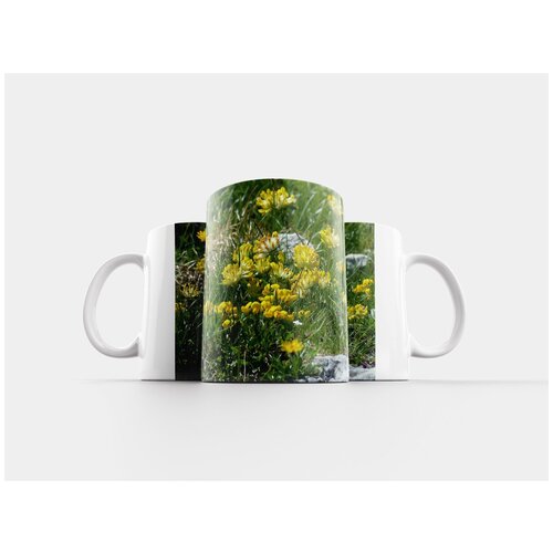 фото Кружка "вика почек, цветок, цвести" 320 мл lotsprints