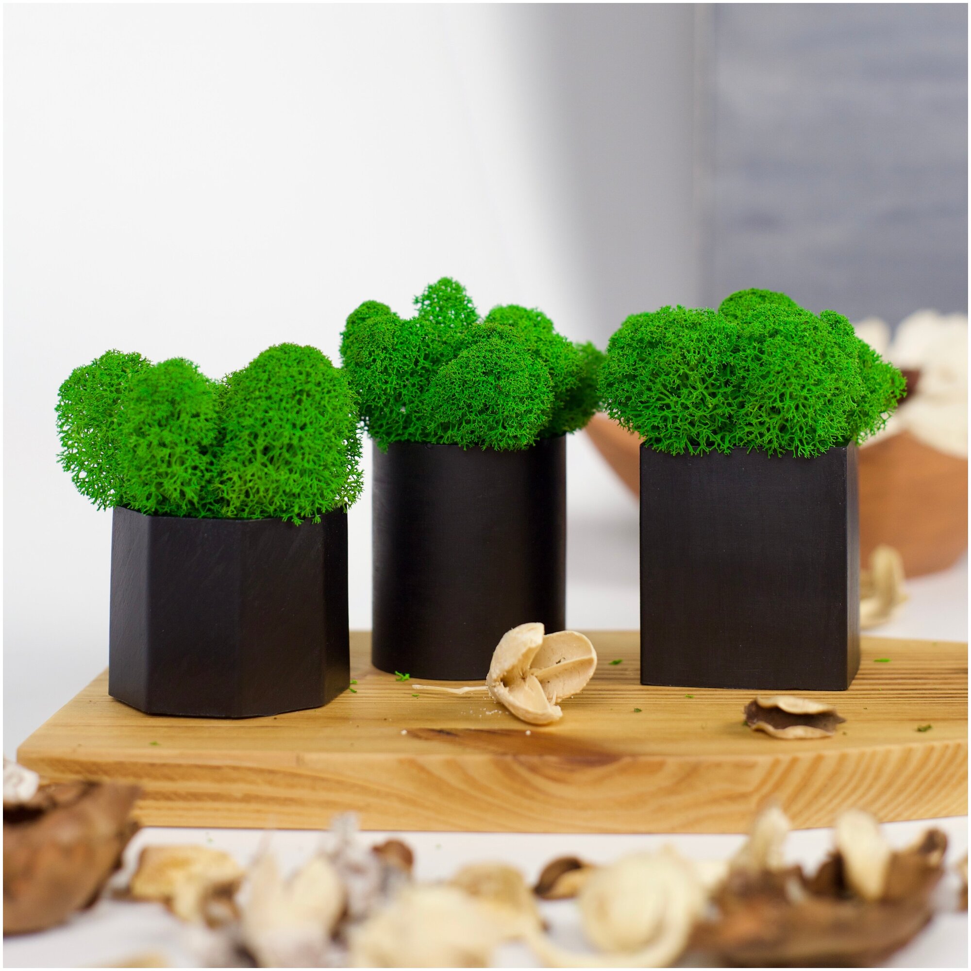 фото Кашпо со стабилизированным мхом декоративные, набор 3 шт. ZEMLYANKA