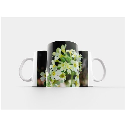 фото Кружка "цвести, вишня, весна" 320 мл lotsprints