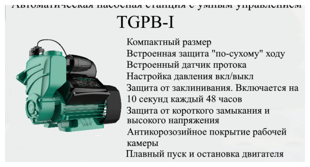 Насосная станция PUMPMAN TGPB 125I - фотография № 2