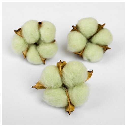 Сухие цветы хлопка, набор 3 шт, размер 1 шт. 6 × 6 см, цвет зелёный (1шт.)