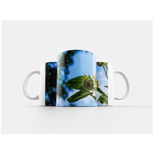 фото Кружка "цветок, флора, синее небо" 320 мл lotsprints