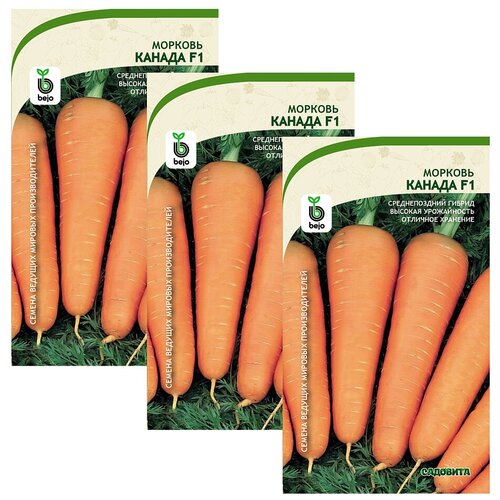 Семена Морковь Канада F1 150шт Садовита (3 пакета) семена садовита морковь маэстро f1 200 семечек 00193041