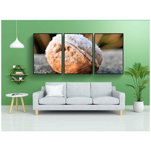 фото Набор модулных постеров для интерьера "орех, дерево орех, зима" 60x90 см. в тубусе, без рамки lotsprints