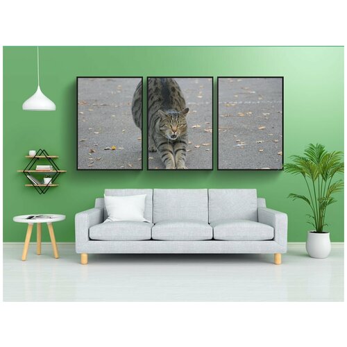 фото Набор модулных постеров для интерьера "животные, кот, скумбрия" 60x90 см. в тубусе, без рамки lotsprints