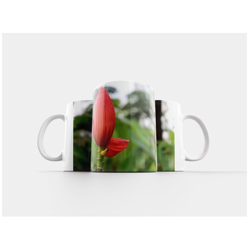 фото Кружка "банан цветок банана, банан декоративные, банан" 320 мл lotsprints