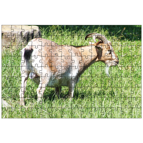 фото Магнитный пазл 27x18см."козел, рога, животное" на холодильник lotsprints
