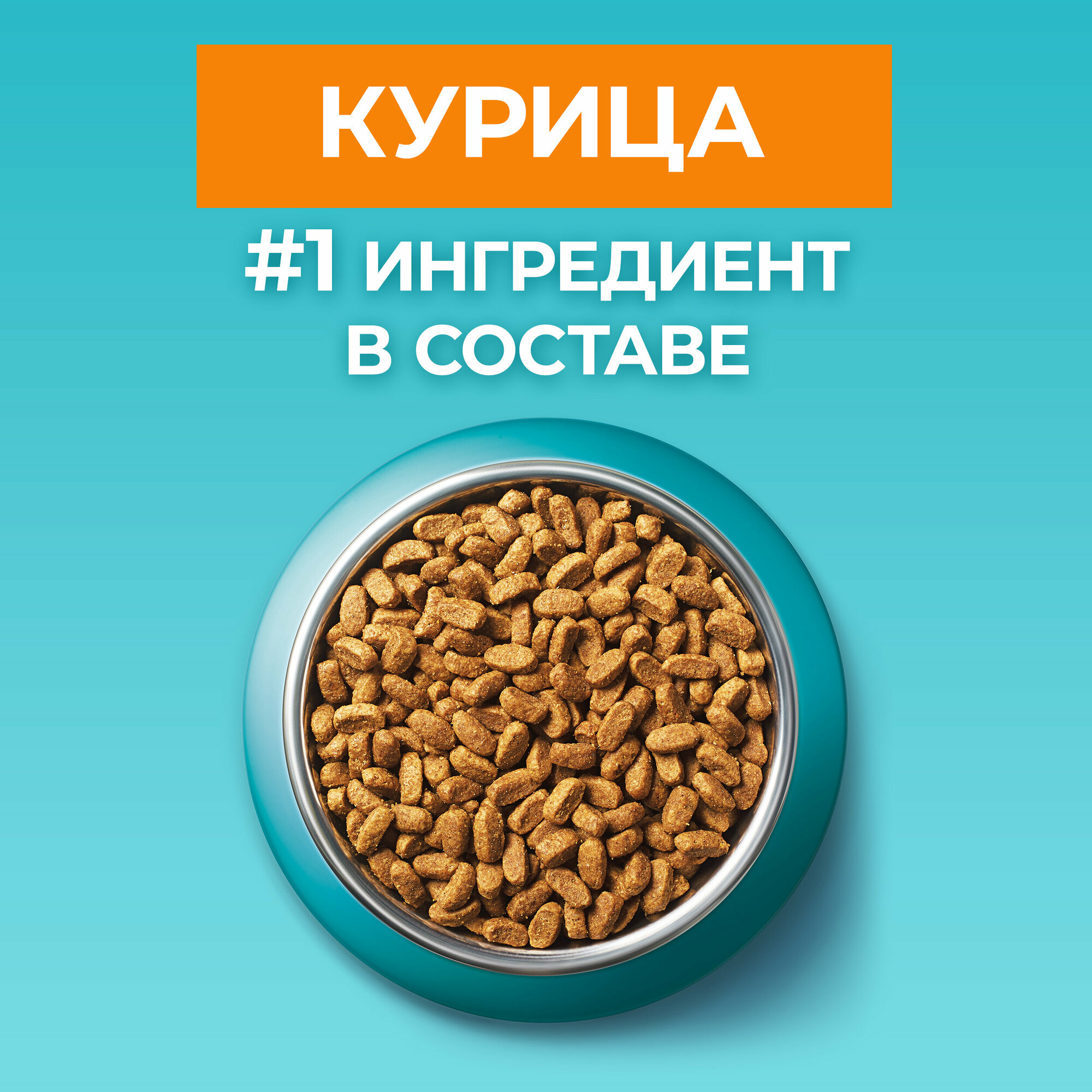 Сухой корм Purina One для взрослых кошек, курица/злаки, 750г - фото №18