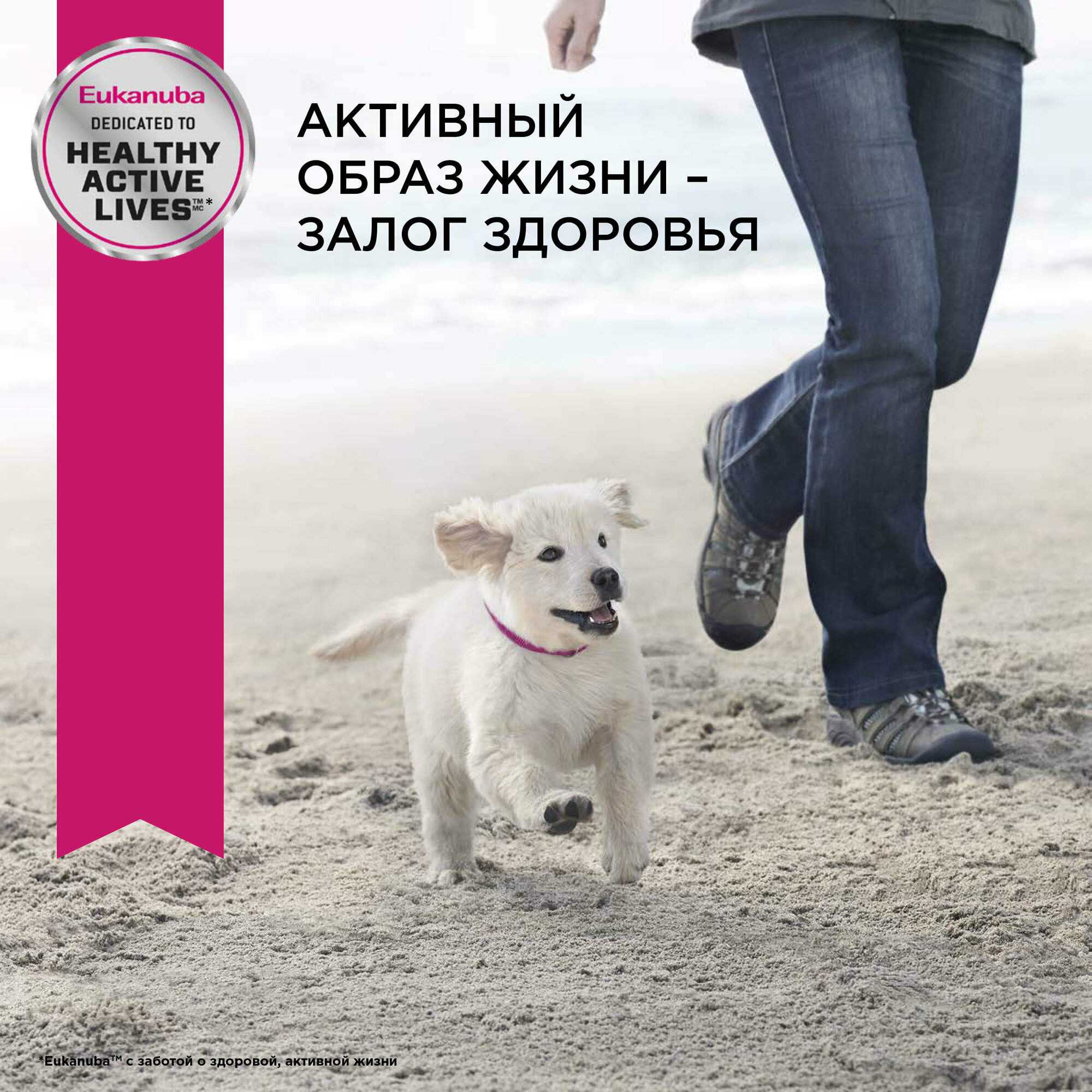 Сухой корм Eukanuba для щенков миниатюрных пород, 500г - фото №9