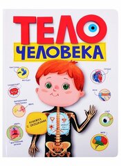 Тело человека (Иванеева Е.)