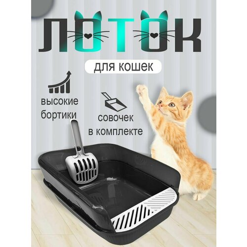 Лоток для кошек