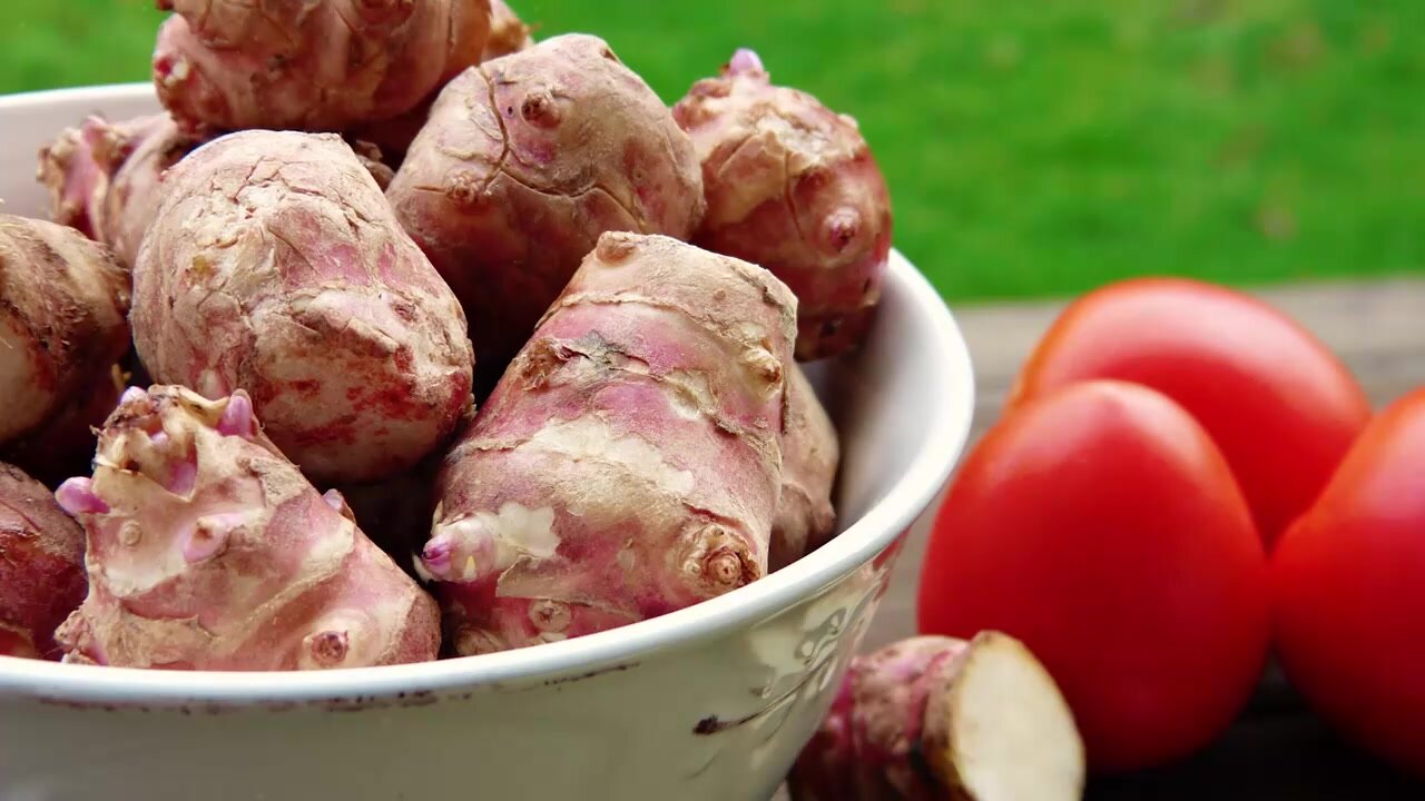 Florida Preventive Line Gastrointestinal Сухой корм для собак для поддержание здоровья пищеварительной системы, 2 кг — фото 1
