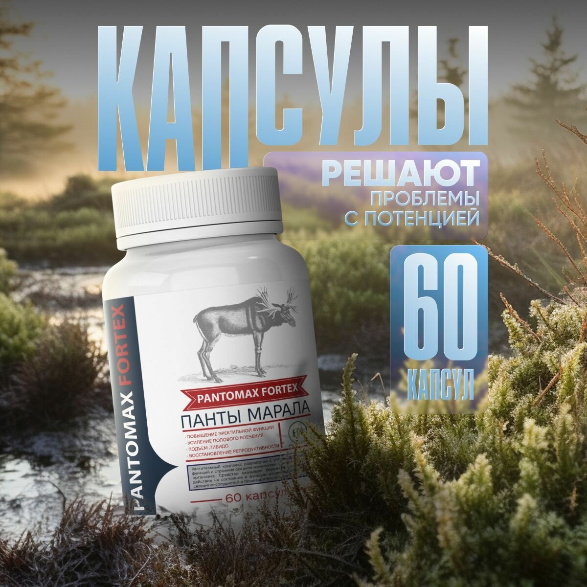 Средство для потенции Pantomax Fortex банка 60 капсул  Пантомакс фортекс пищевая добавка