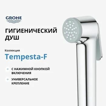 Гигиенический душ GROHE Tempesta-F Trigger Spray 30 хром (27512001)