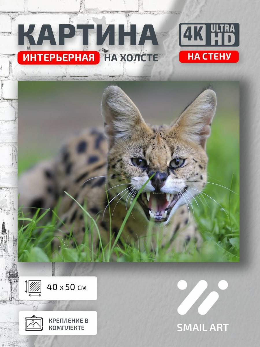 Картина на холсте интерьерная 40 на 50 на стену Рысь Mood для спальни атмосфера интерьер
