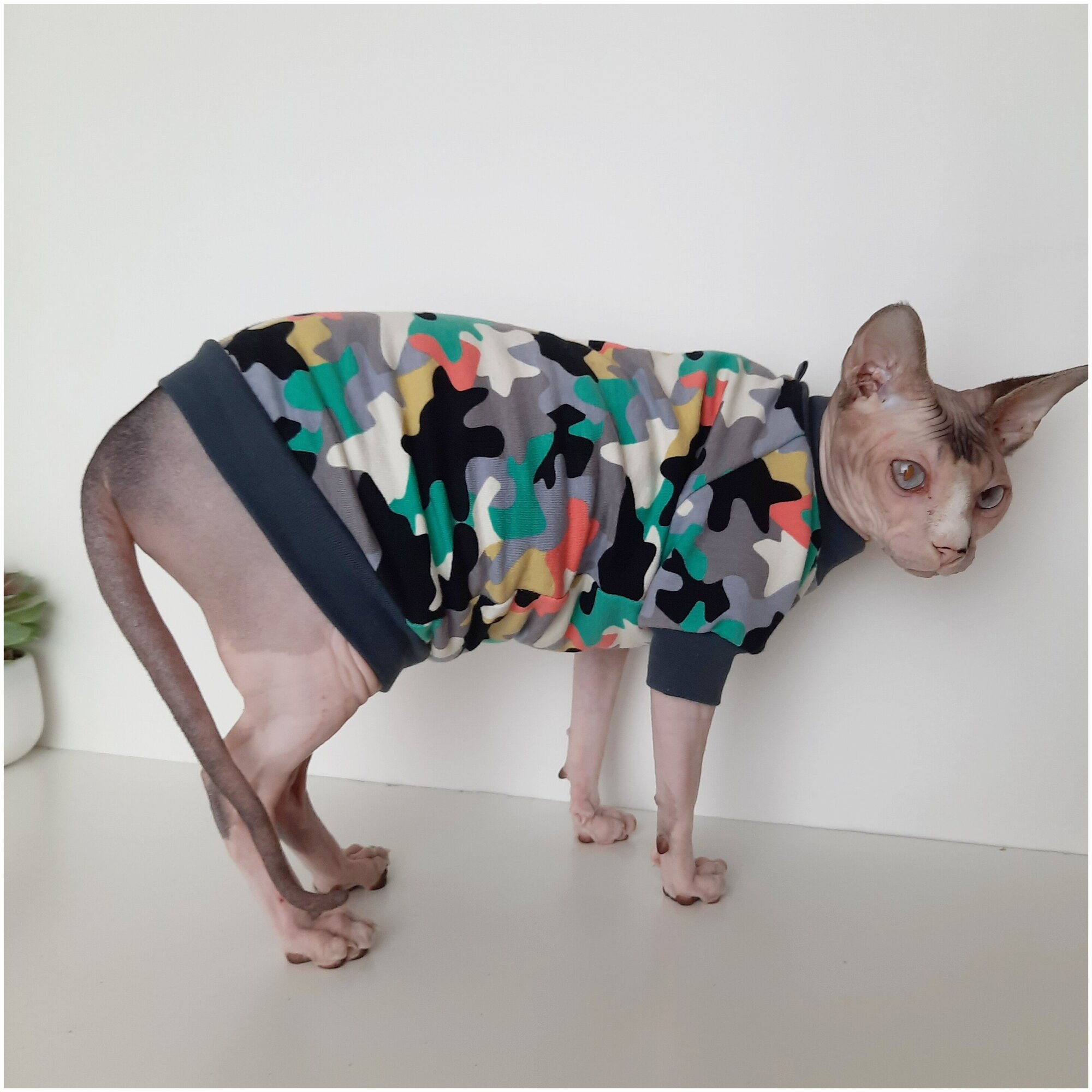 Свитшот для кошек, размер 35 (длина спины 35см), цвет милитари/ толстовка свитшот свитер для кошек сфинкс / одежда для животных - фотография № 8