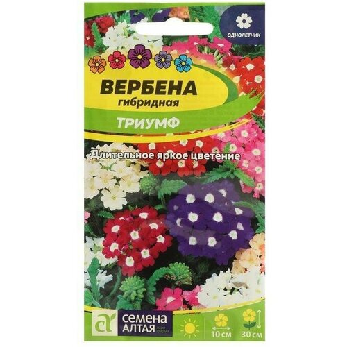 Семена цветов Вербена Триумф, гибридная 0,1 г 4 упаковки семена вербена румба гибридная 0 05