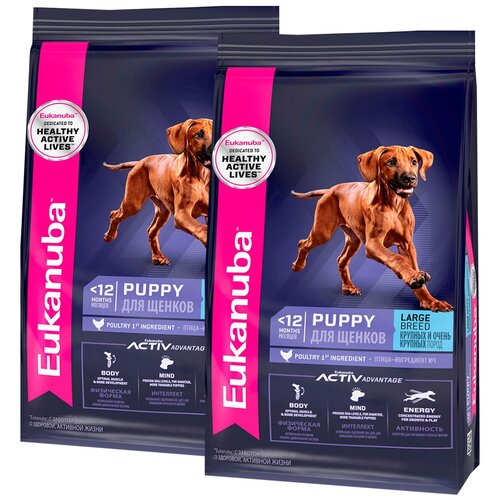 EUKANUBA PUPPY & JUNIOR LARGE BREED для щенков крупных пород (15 + 15 кг) eukanuba puppy