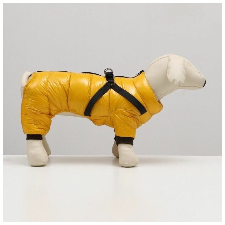 Комбинезон для собак со шлейкой"Моден", размер 10 (ДС 25, ОГ 34, ОШ 24 см), жёлтый 7980719 . - фотография № 2