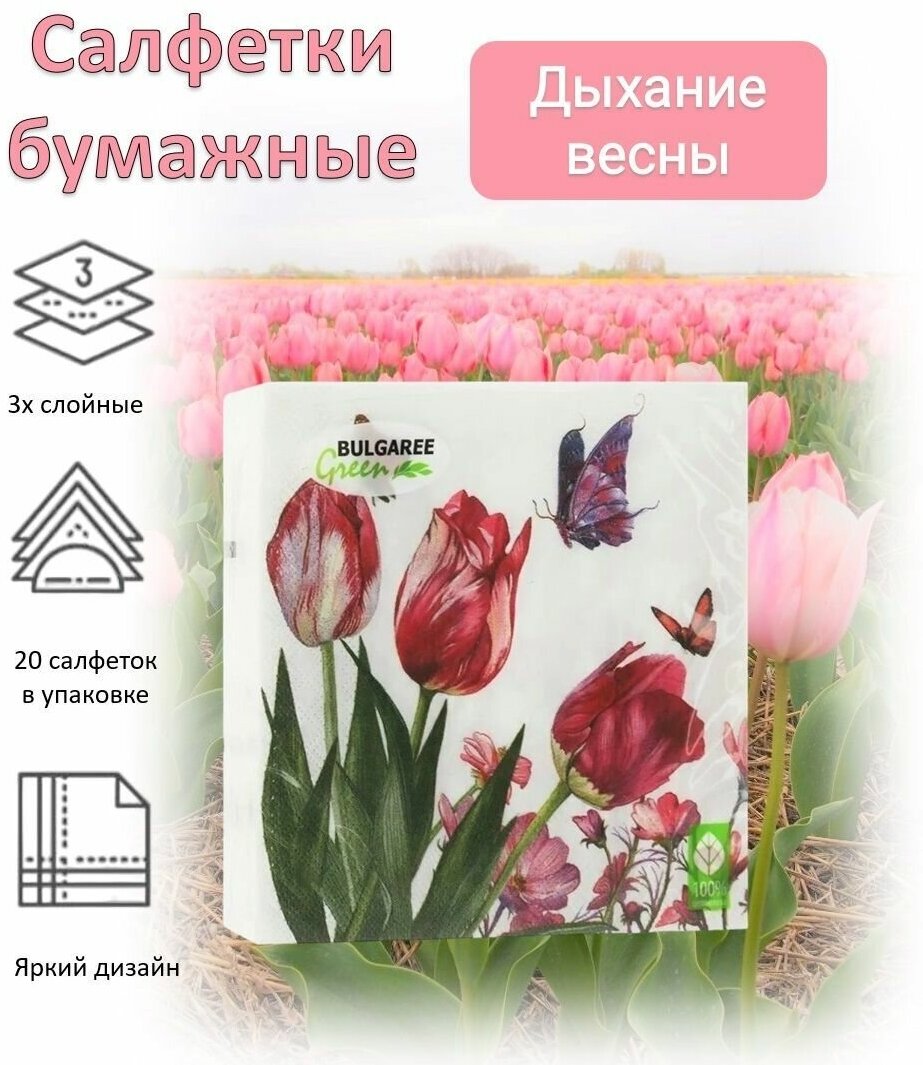 BULGAREE Green Салфетки бумажные 3сл 20шт 33*33см Дыхание весны