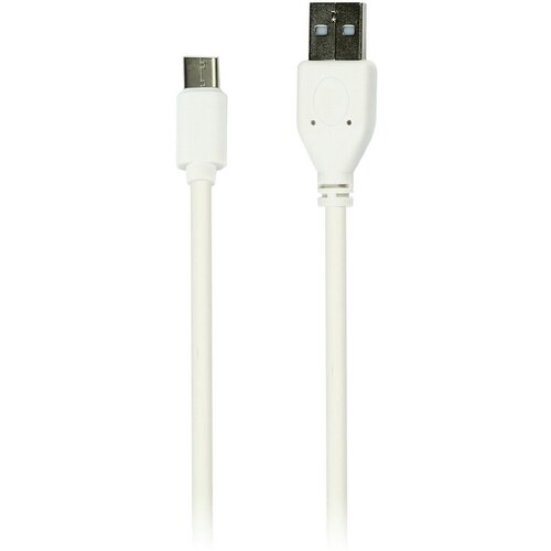 Кабель Smartbuy iK-3112, USB2.0 (A) - Type C, 2A output, 1м, белый, белый, 2 штуки